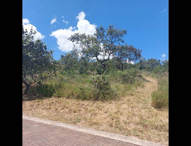 LAND FOR SALE IN WILD FIG COUNTRY ESTATE